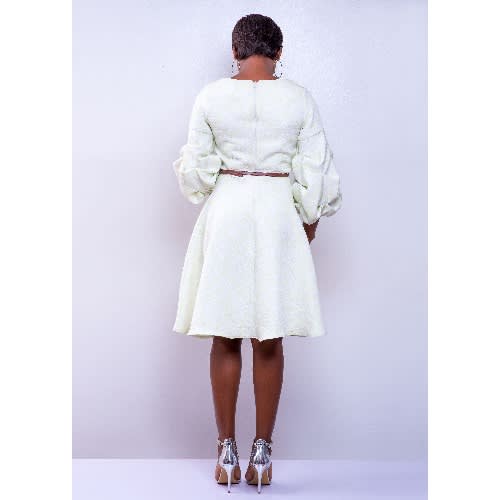 Damask Skater Dress With Ruched Sleeves