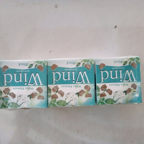 Air Freshener - 12 pieces