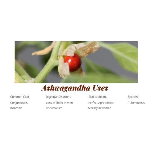 Organic Ashwagandha Powder - 100g
