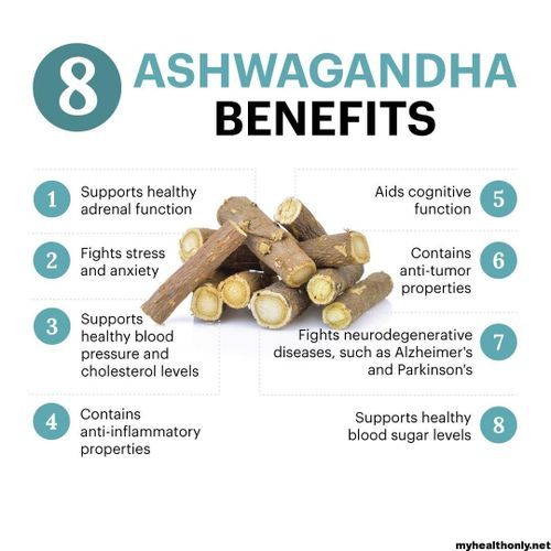 Organic Ashwagandha Powder - 100g