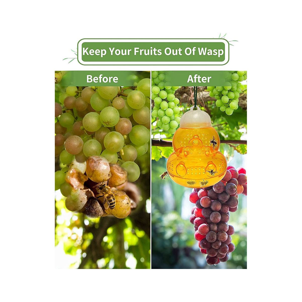 Wasp Trap Outdoor Hanging, Wasp Trap, Bee Traps