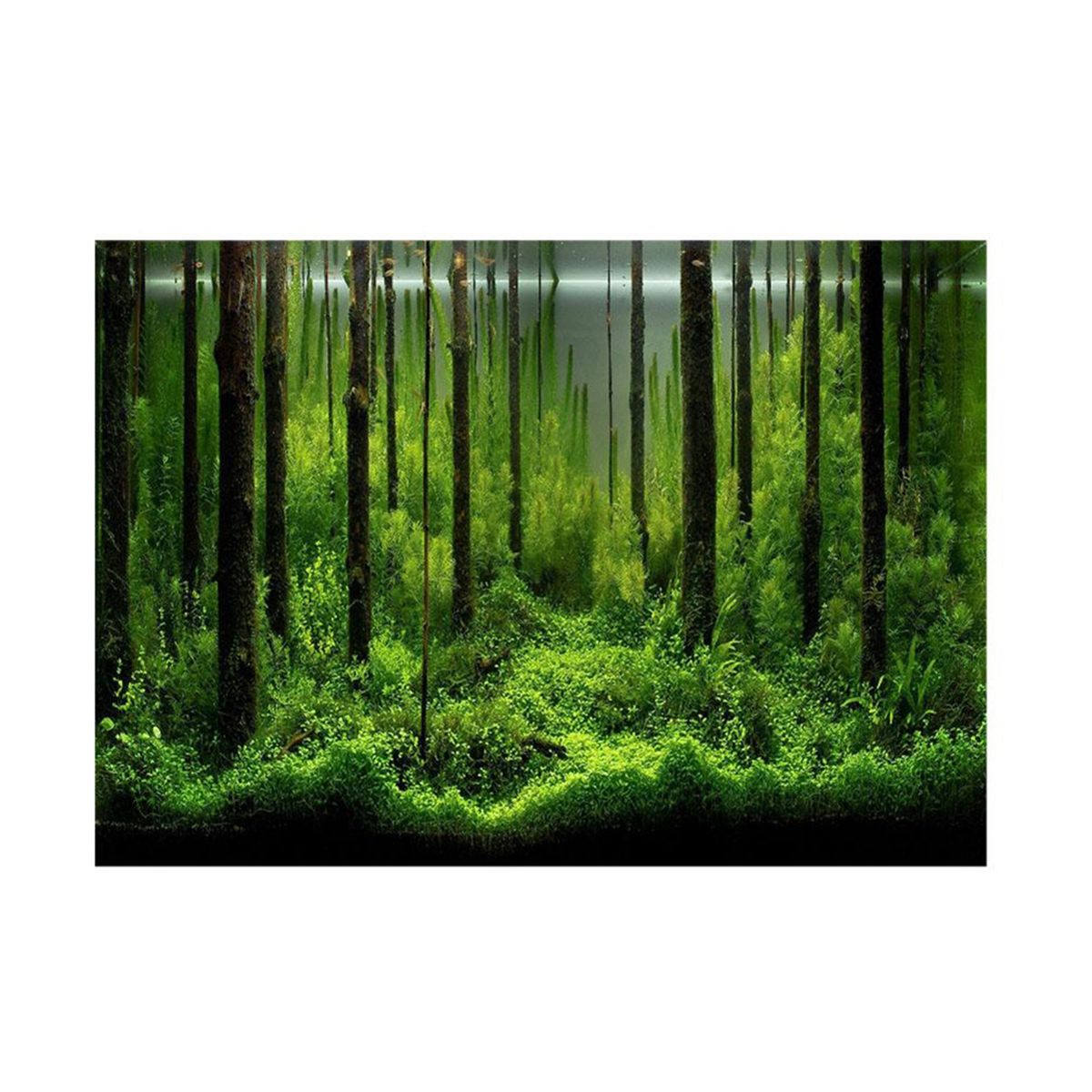 Aquarium Background Poster 3D PVC Adhesive Sticker Fish Tank Underwater World Backdrop Decoration Paperdscape Wallpaper Post White