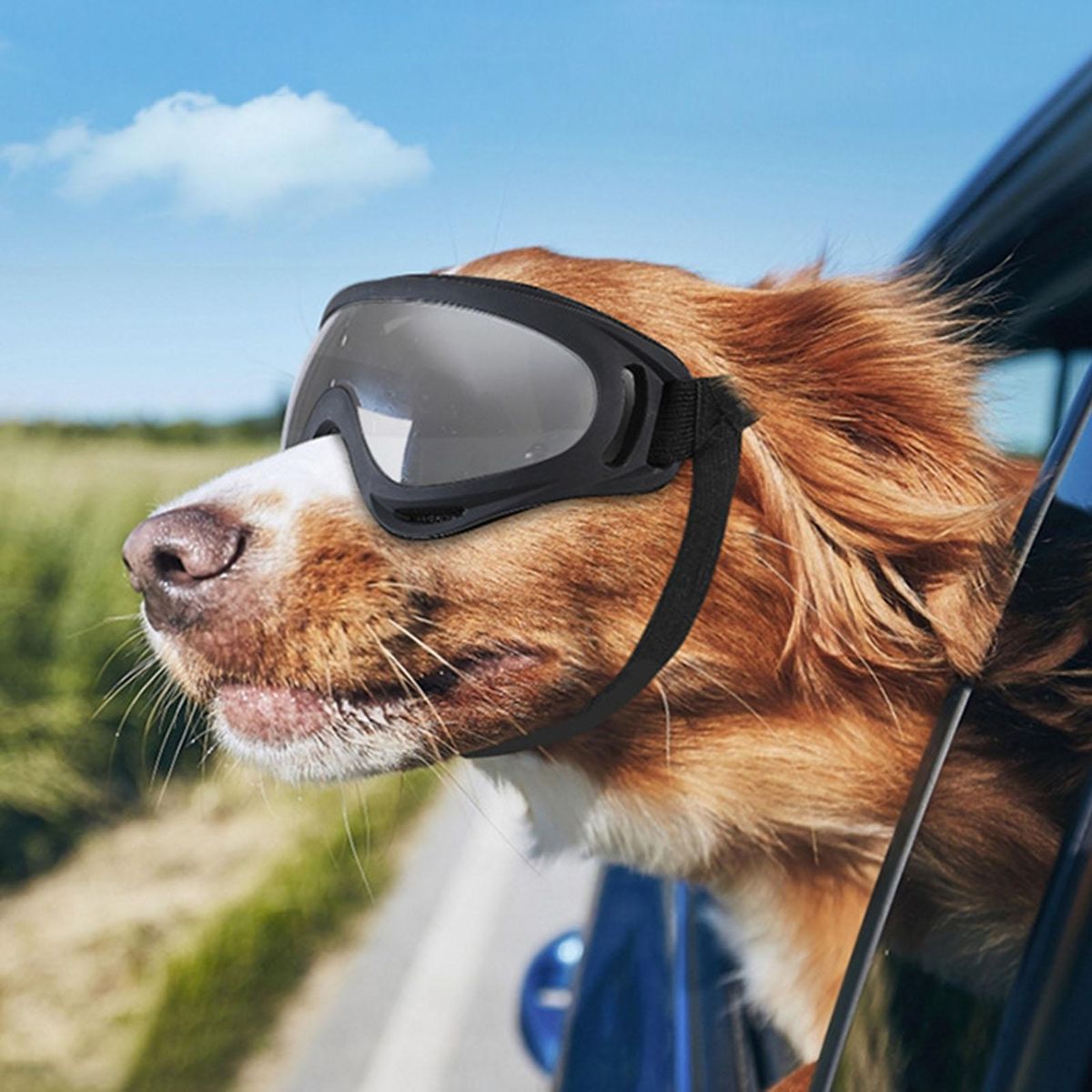 Shatterproof Dog Glasses Petsafe Pupshield Adjustable Uv Dog for Small Silver