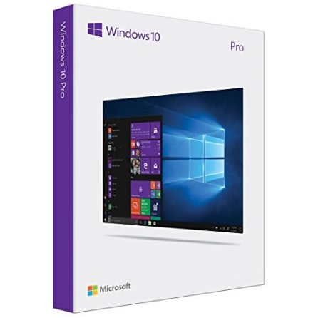 Windows 10 Professional License Key