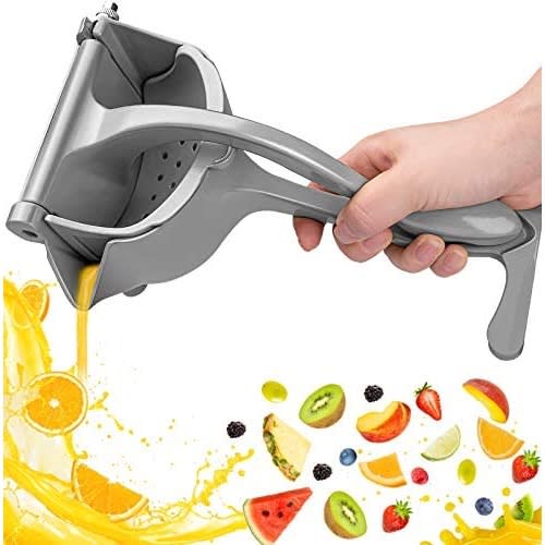 Manual Fruit Press