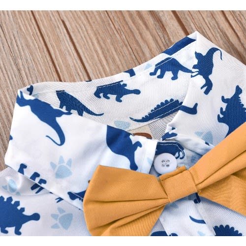 Baby Boy Set - Cloth, Short With Trouser