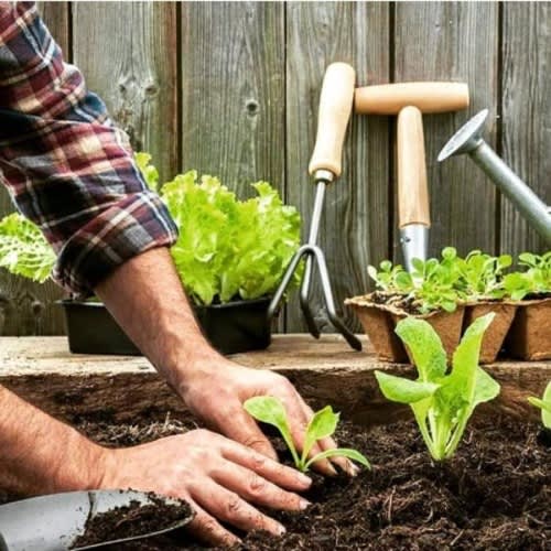 Sphagnum Peat Moss For Gardening And Potting Mix - 5kg