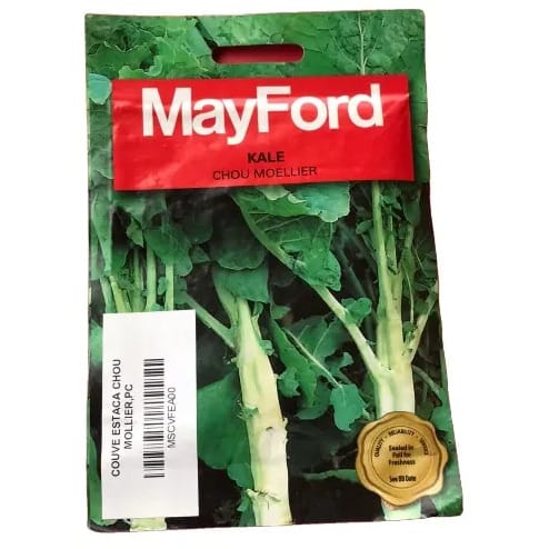 Kale Seed - Chou Moellier -10g