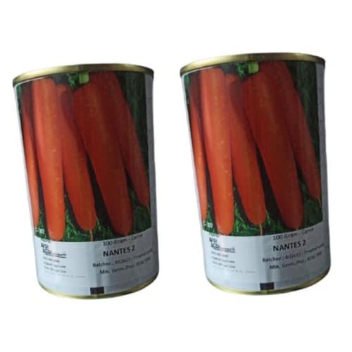 Nantes Carrot Seeds - 100 Grams - 2 Tins