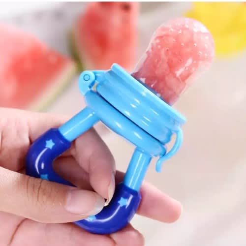 Fruit Feeder Pacifier