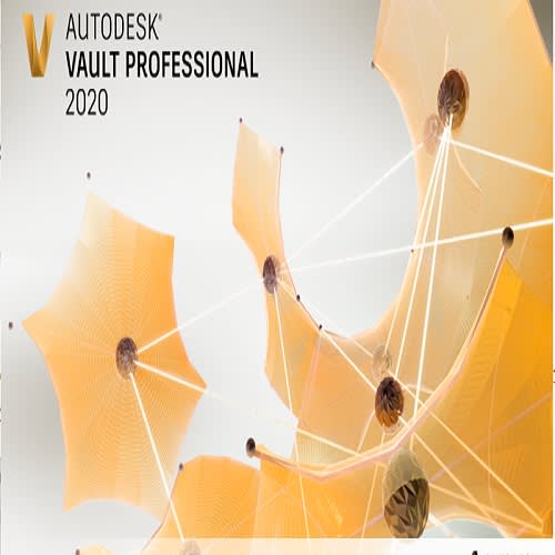 Vault Professional Client 2020
