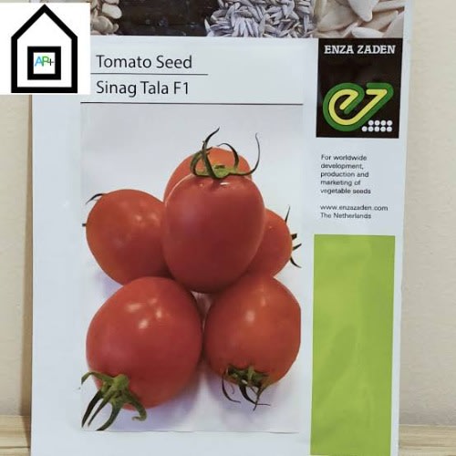 Sinag Tala F1 Hybrid Tomato Seeds - 1500 Seeds