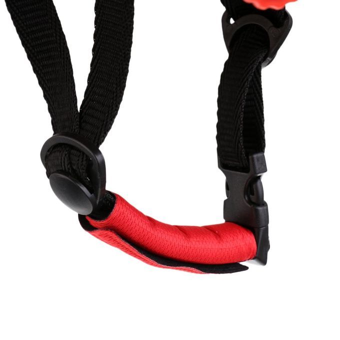 Tree Rock Climbing Safety  Caving Rappelling Abseiling Blue