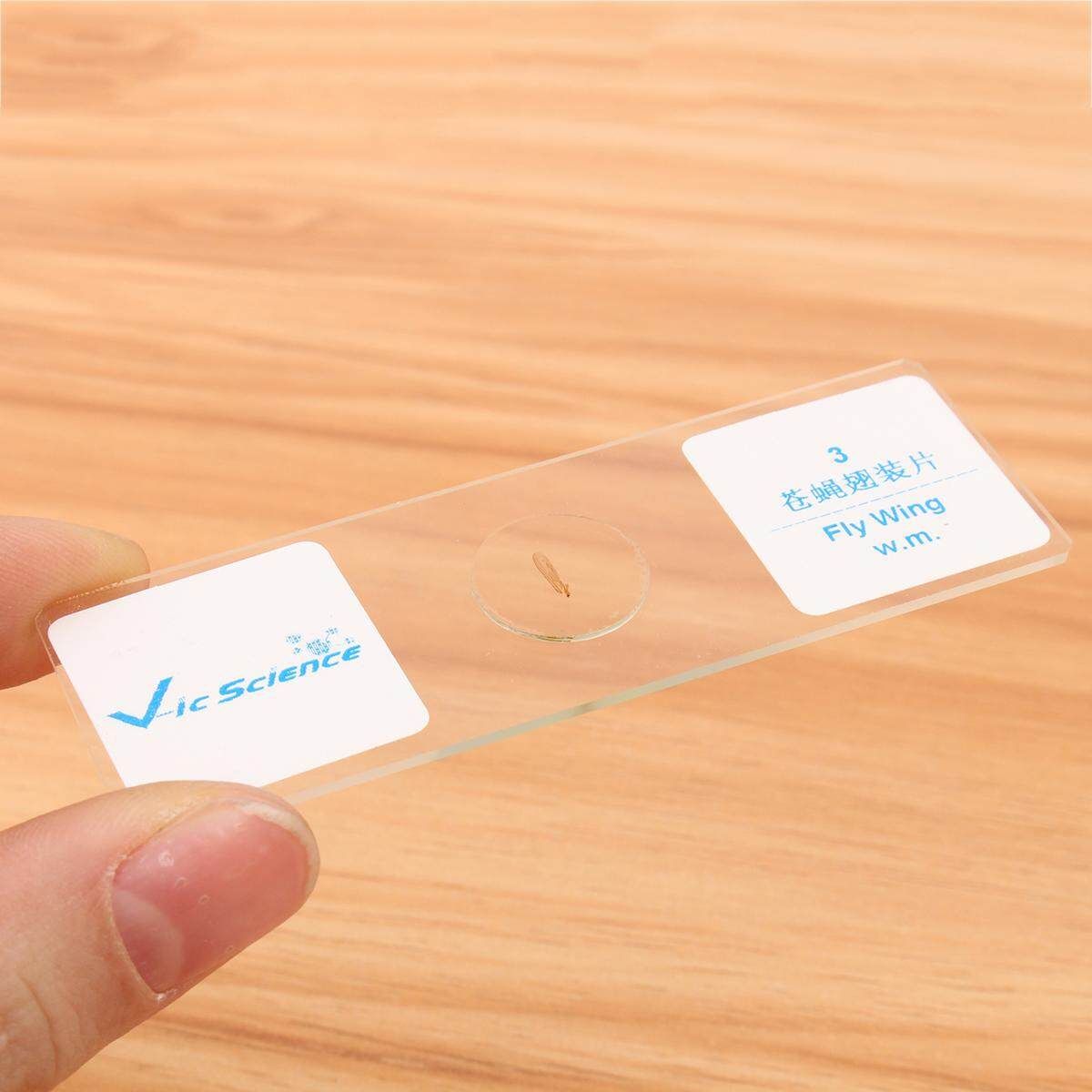 25Pcs Basic Science Microscope Glass Slides Sample With Wooden Box