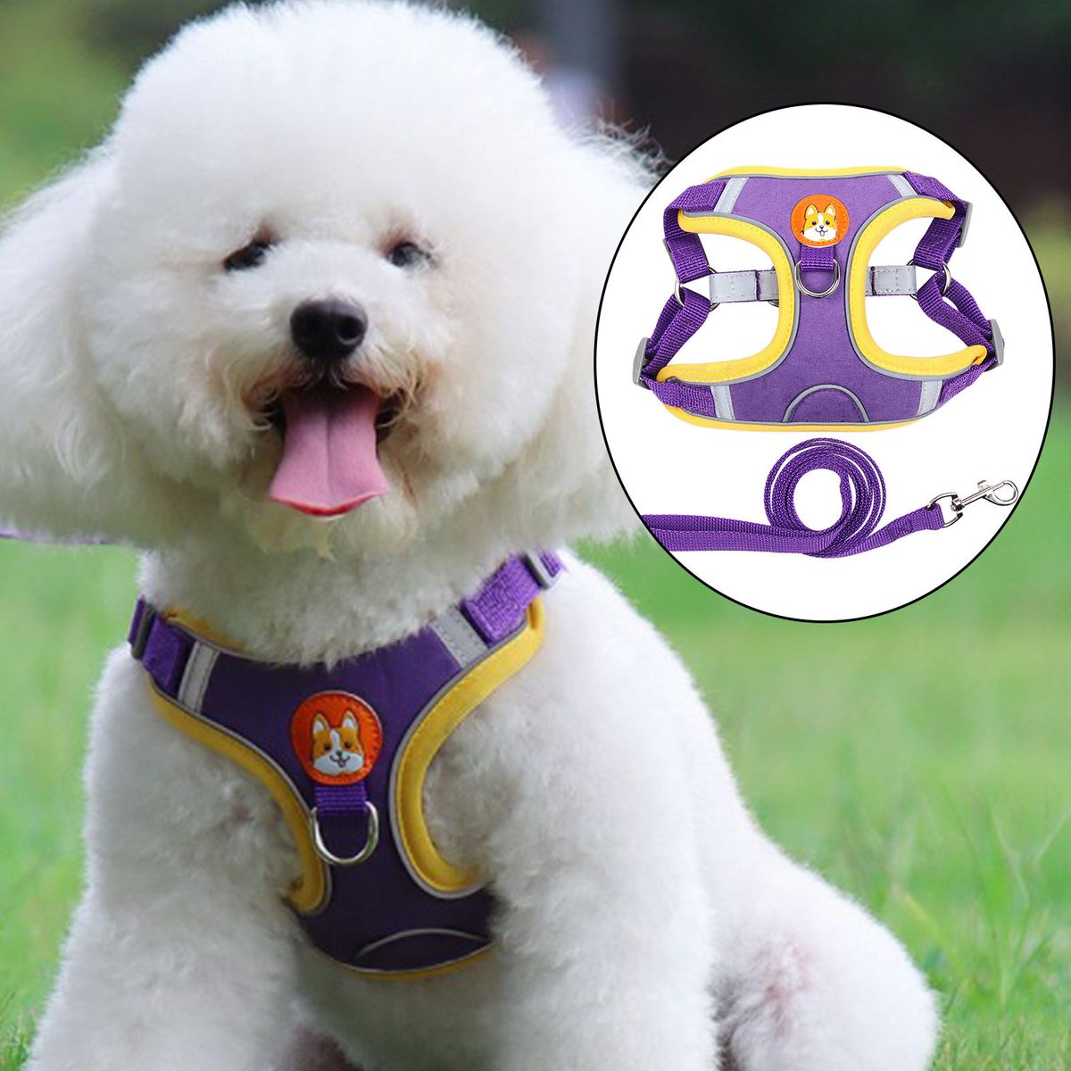 2x Dog Harness Leashs Set Outdoor With Leashs Soft Chest