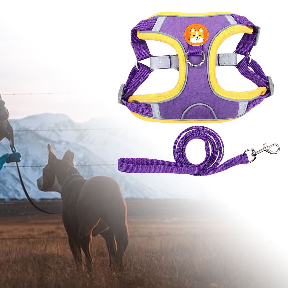 2x Dog Harness Leashs Set Outdoor With Leashs Soft Chest