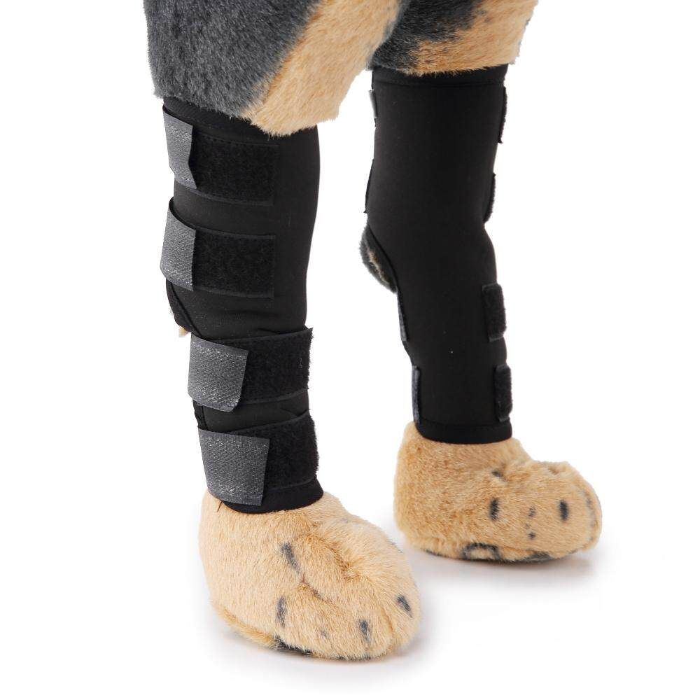 Supportive Dog Canine Rear Leg Hock S