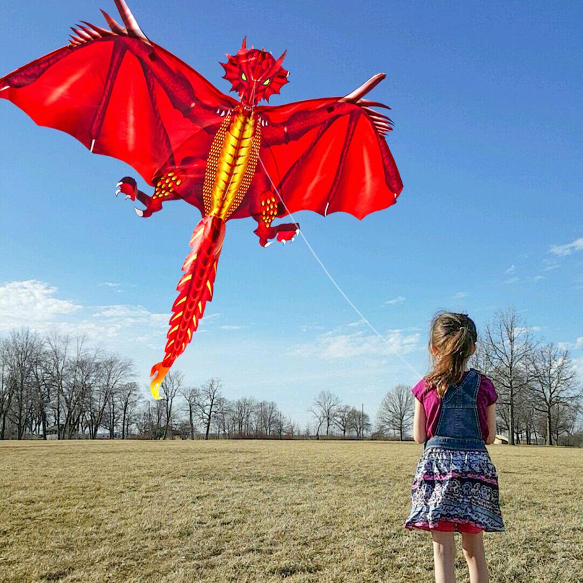 Wildlife Spring Kite Set Colorful Funny Cloth Large Red