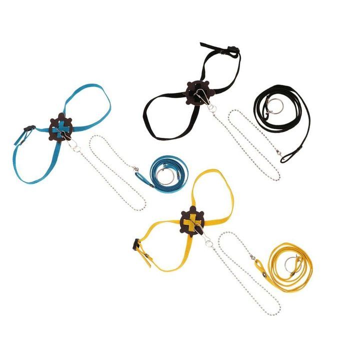 Adjustable Reptile Lizard Turtle Harness Leash Fashion For Yellow