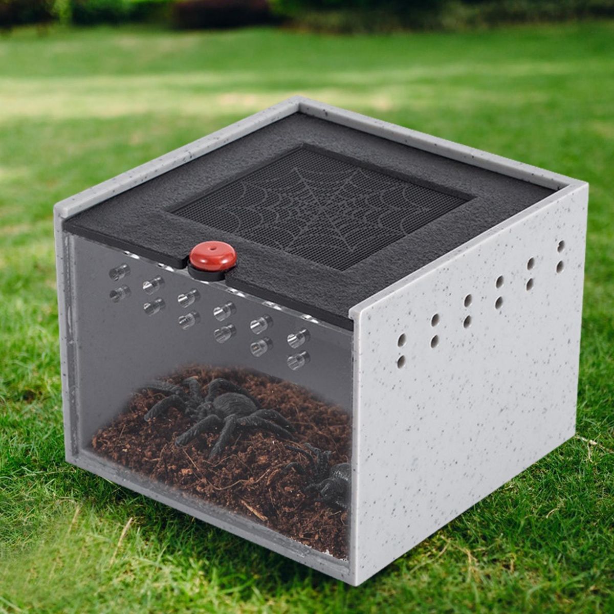 Feeding Box Spider Haven View Feeding Box with Semi-hidden for Jumping White Grey