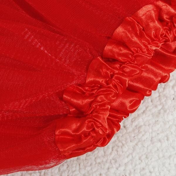 Kids Girls 3 Layer Tutu Ballet Dance Dress Skirt Tulle Full Pettiskirt Costume Red Red