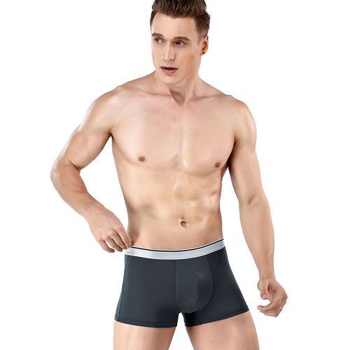 4 Pieces Breathable Men Panties Plus Size Elasticity Ice Silk Boxer Briefs