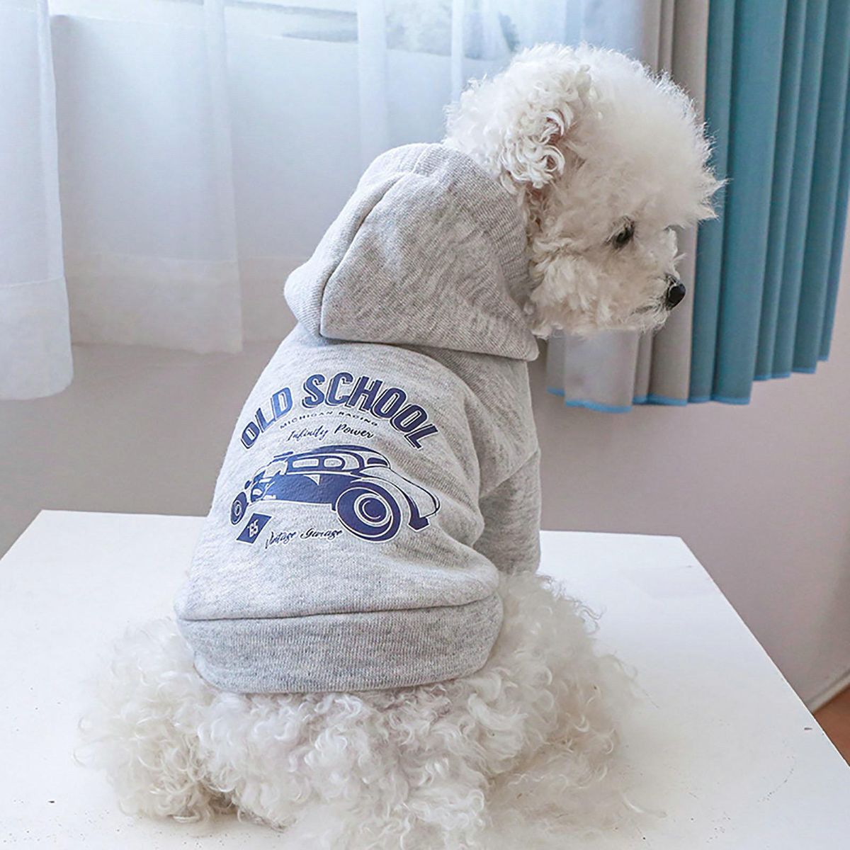Dog Sweatshirt Winter Dogs Cats Hooded Sweatshirt Two-legged Clothes Grey