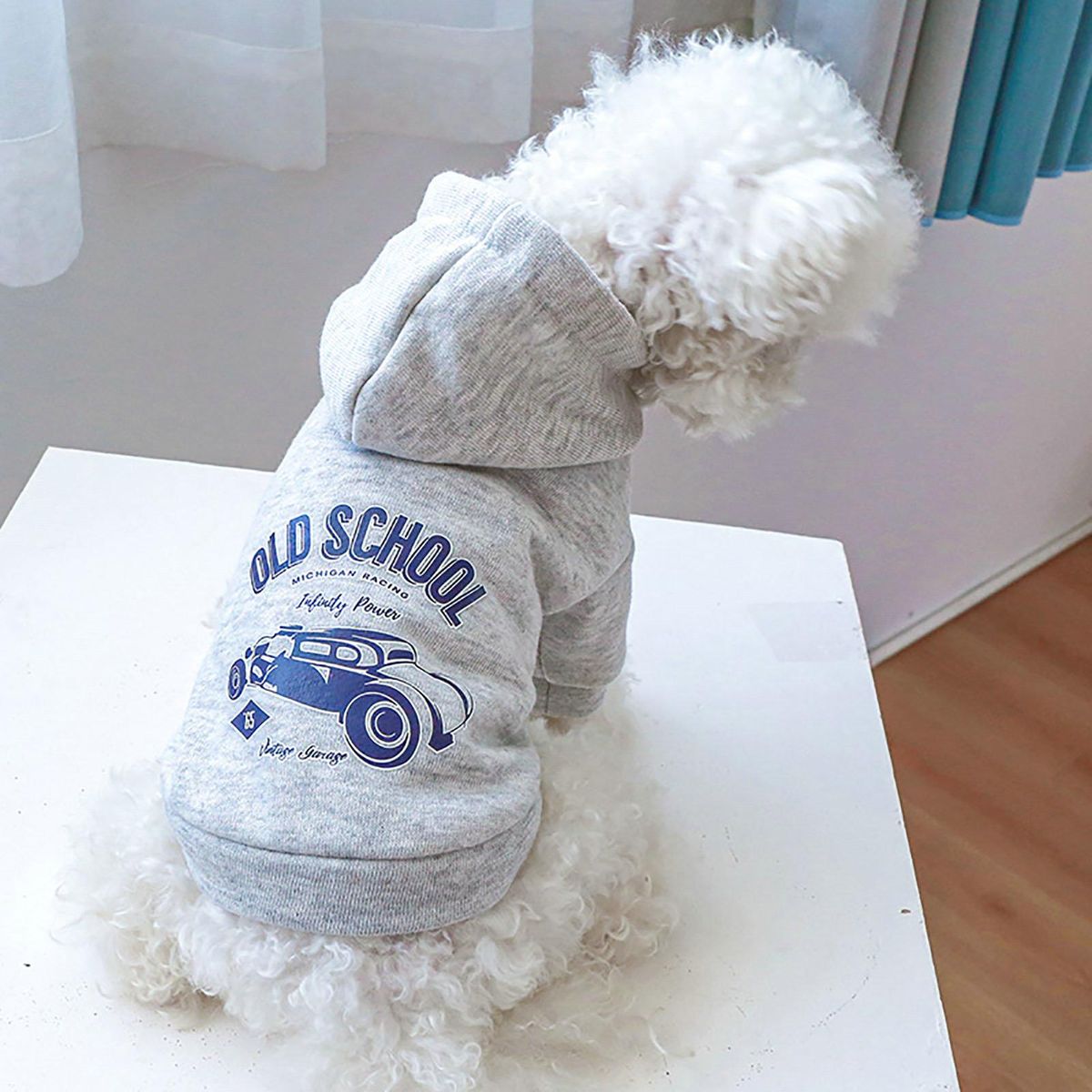 Dog Sweatshirt Winter Dogs Cats Hooded Sweatshirt Two-legged Clothes Grey