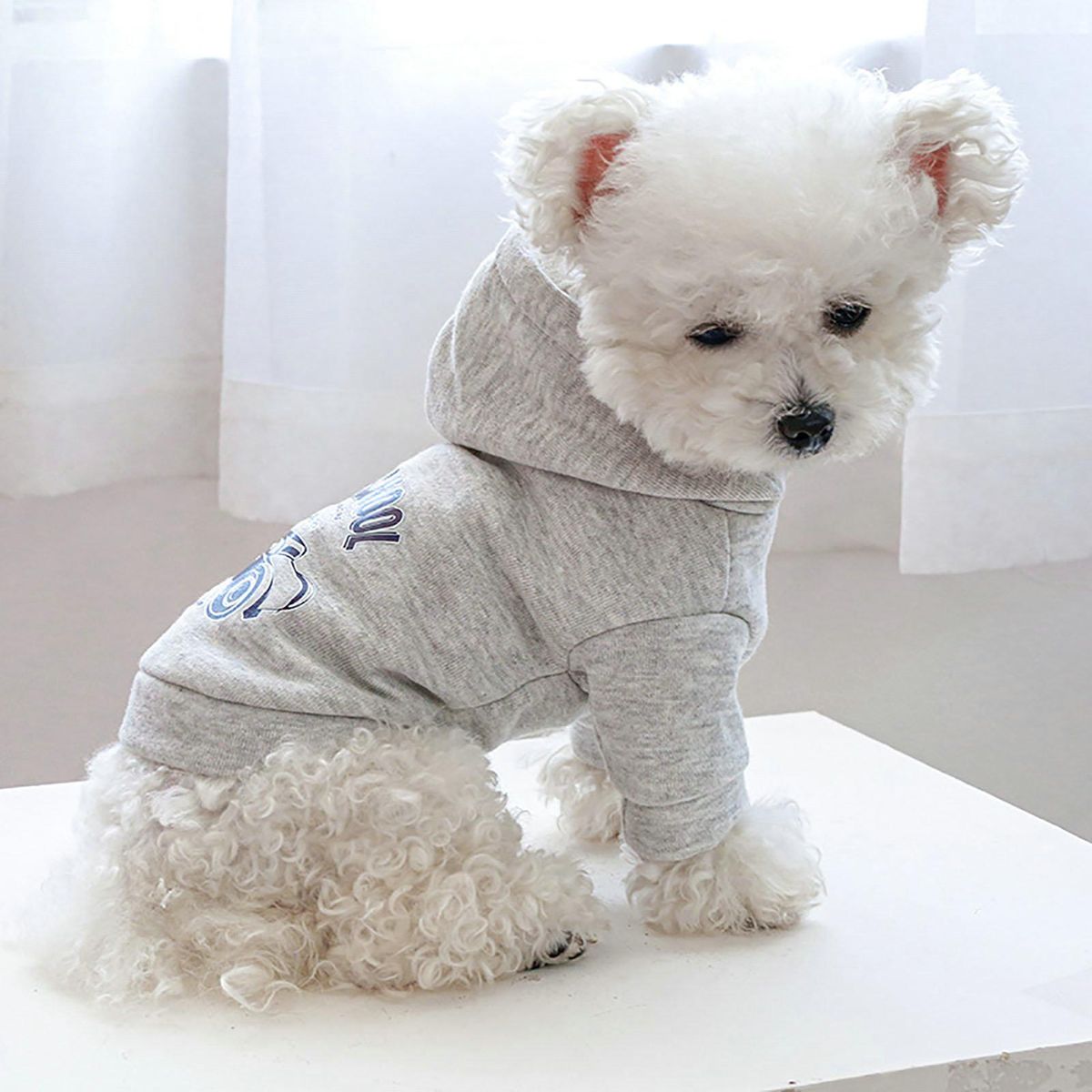 Dog Sweatshirt Winter Dogs Cats Hooded Sweatshirt Two-legged Clothes Grey