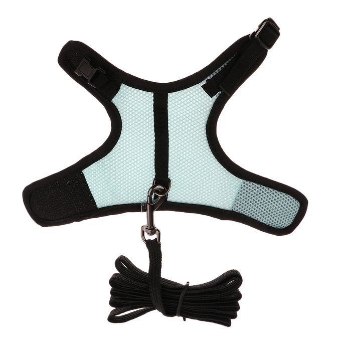 Rabbit Ferret Breathable Mesh Vest Harness Leash Lead Walking Blue S