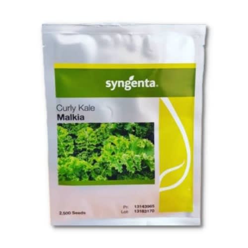 Curly Kale Seeds - 2500 Seeds