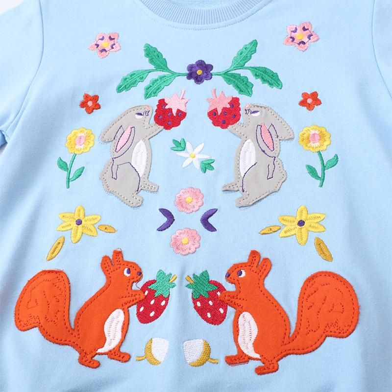 Girls Sweatshirt Knitted Embroidered Long Sleeve Sweatshirt Blue