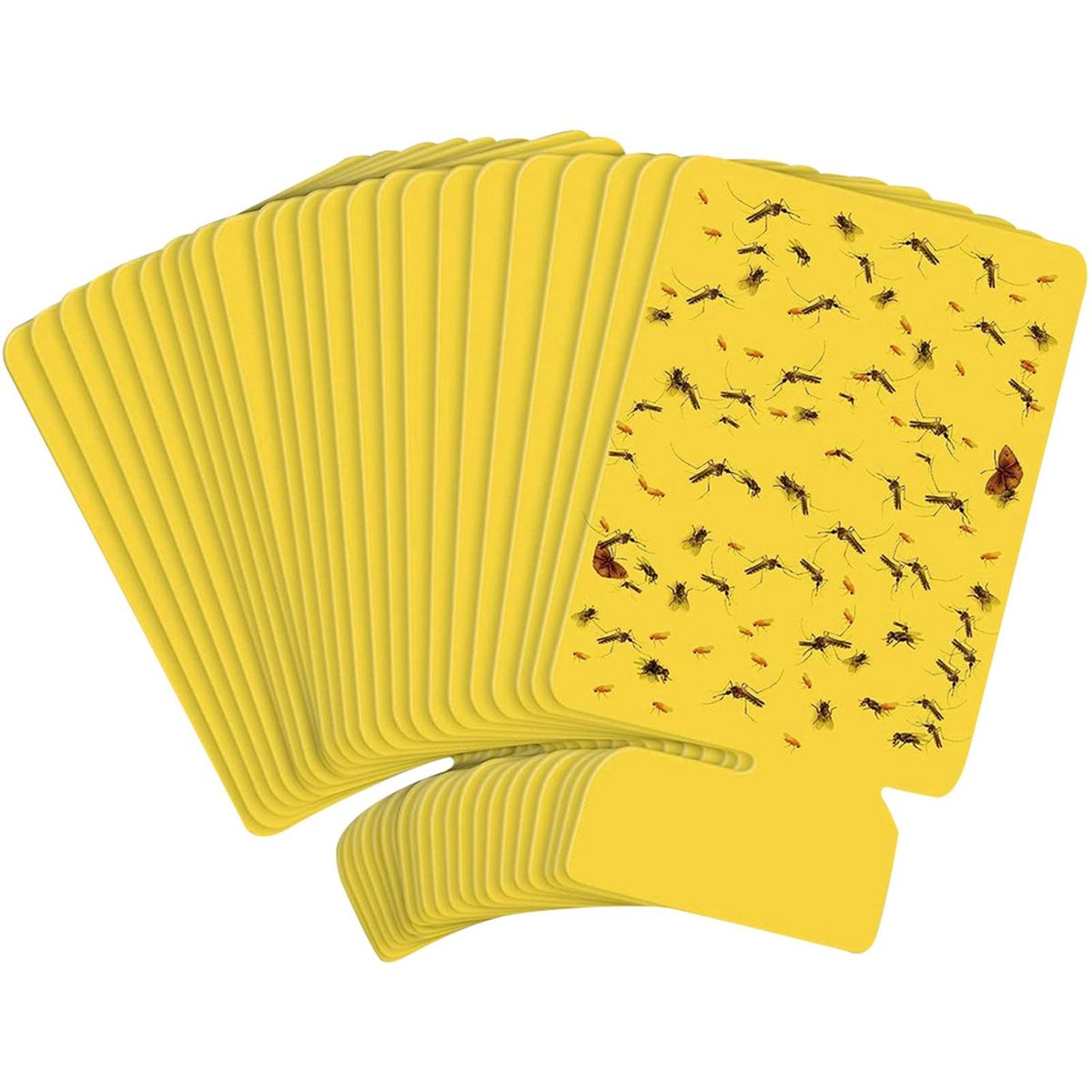 Sticky Cards for Trapping Mosquitoes 24pcs Indoor Mosquito Sticky Card
