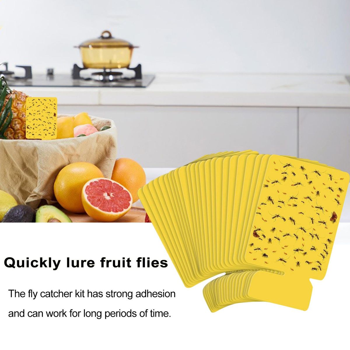 Sticky Cards for Trapping Mosquitoes 24pcs Indoor Mosquito Sticky Card