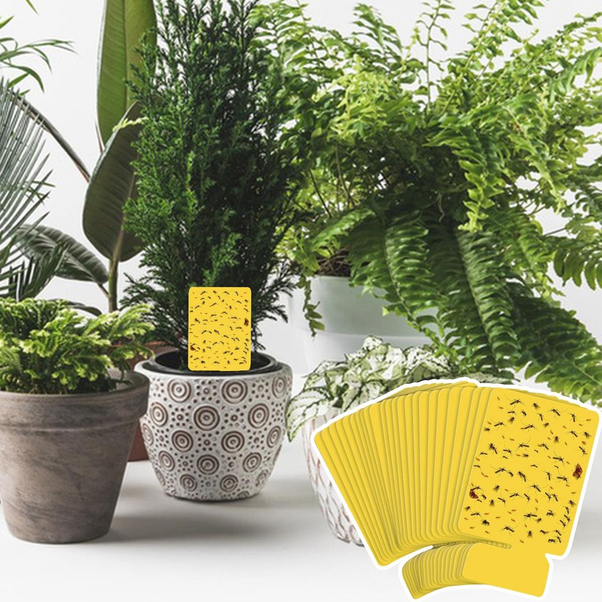Sticky Cards for Trapping Mosquitoes 24pcs Indoor Mosquito Sticky Card