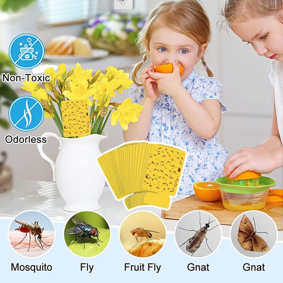 Sticky Cards for Trapping Mosquitoes 24pcs Indoor Mosquito Sticky Card
