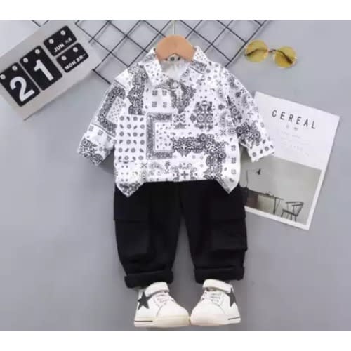 Boy's Button Down Shirt And Trouser Set - 2 Pieces