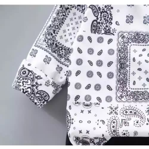 Boy's Button Down Shirt And Trouser Set - 2 Pieces