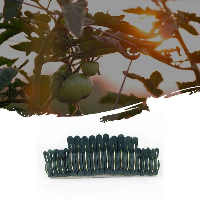 20P S/Set Garden Plant  Lips Plasti  Fixed Figure Vegetable Growing Su Orts-black