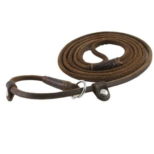 Real Leather Slip Dog Lead Leash P Chain Collar Pet Walking Leads Long Dog Rope Puppy Traction For Small Medium Dogs
