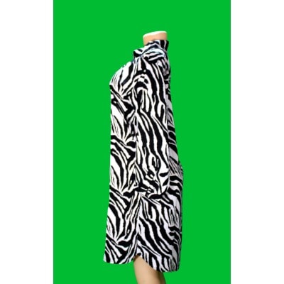 Zebra Print Shirt Dress