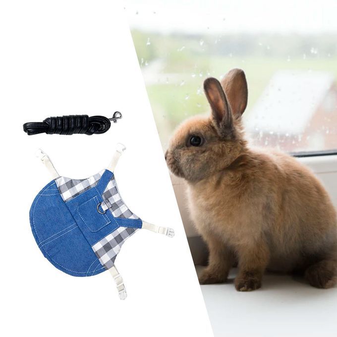 Rabbit Vest Harness Breathable Adjustable Clothes For Kitten L Gray
