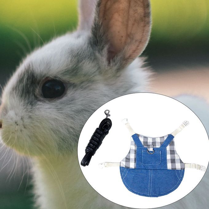 Rabbit Vest Harness Breathable Adjustable Clothes For Kitten L Gray