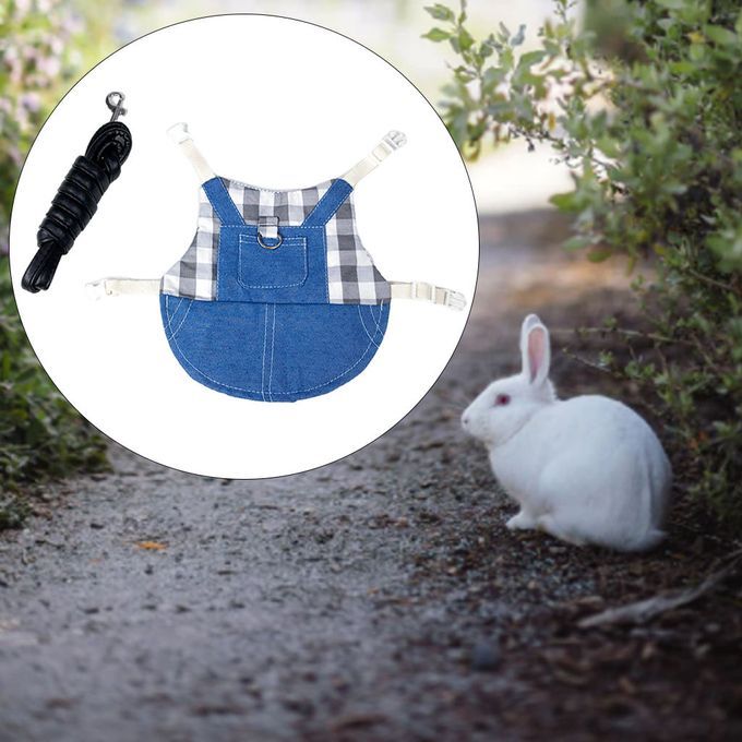 Rabbit Vest Harness Breathable Adjustable Clothes For Kitten L Gray