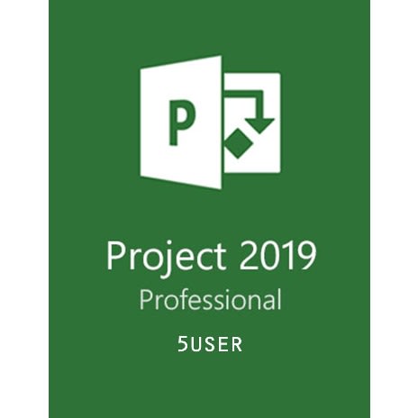 Project 2019 Professional 5 User (Online Key)