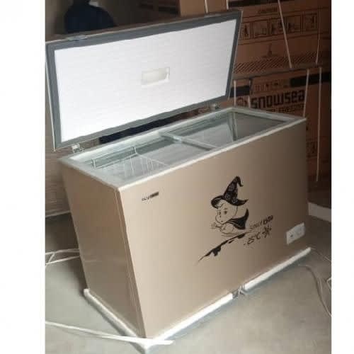 Chest Freezer Bd - 450