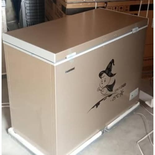 Chest Freezer Bd - 450