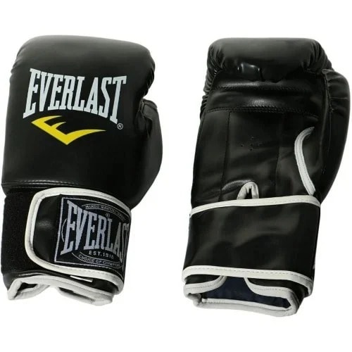 Set Of Everlast Boxing Glove