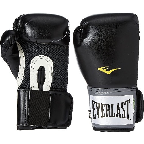 Set Of Everlast Boxing Glove