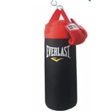 Everlast Elite Punching Bag & Boxing Gloves- 18kg